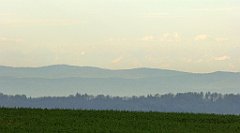 081_TZ60_P1100232_cr