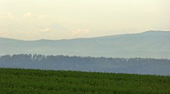 082_TZ60_P1100235_cr