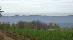 104_TZ60_P1100266_cr