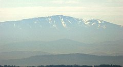 113_TZ60_P1100285_cr