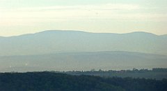 119_TZ60_P1100294_cr