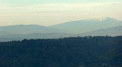 125_TZ60_P1100301_cr