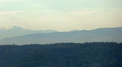 126_TZ60_P1100303_cr