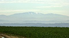 132_TZ60_P1100309_cr