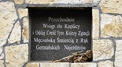 163_TZ60_P1100325_cr