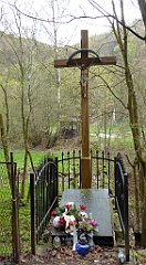 168_TZ60_P1100330_cr