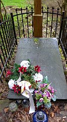 170_TZ60_P1100332_cr