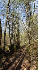 194_TZ60_P1100349_cr