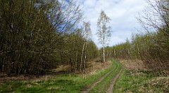 210_TZ60_P1100355_cr