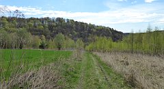 213_TZ60_P1100358_cr