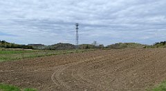 219_TZ60_P1100364_cr