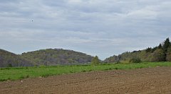 228_TZ60_P1100380_cr