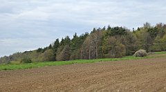 229_TZ60_P1100382_cr