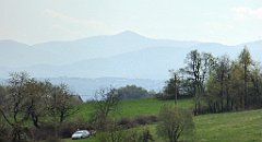 245_TZ60_P1100398_cr