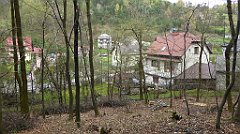 255_TZ60_P1100405_cr