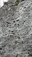 275_TZ60_P1100422_cr