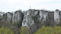 282_TZ60_P1100431_cr