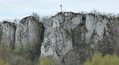 284_TZ60_P1100433_cr