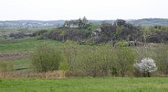 316_TZ60_P1100465_cr