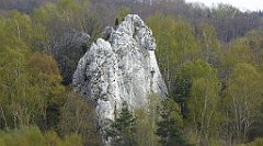 330b_TZ60_P1100479_cr