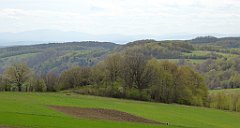 336_TZ60_P1100489_cr