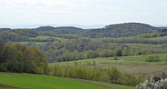 337_TZ60_P1100491_cr