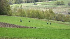 349_TZ60_P1100508_cr