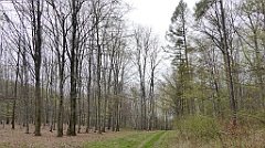 414_TZ60_P1100549_cr