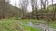 422_TZ60_P1100553_cr