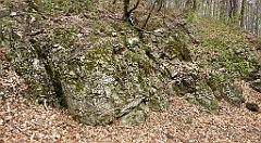 432_TZ60_P1100559_cr