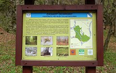 434_TZ60_P1100560_cr