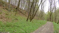 436_TZ60_P1100562_cr