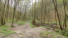 438_TZ60_P1100564_cr