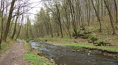 439_TZ60_P1100565_cr