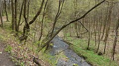 444_TZ60_P1100570_cr