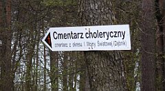 483_TZ60_P1100588_cr