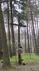 487_TZ60_P1100592_cr