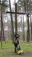 488_TZ60_P1100593_cr