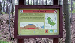 511_TZ60_P1100608_cr