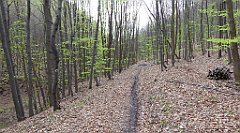 514_TZ60_P1100611_cr