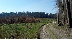 034_IMG_20160501_091131_cr