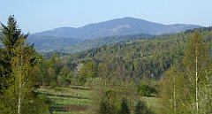 016_TZ60_P1100745_cr