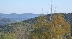 043_TZ60_P1100775_cr