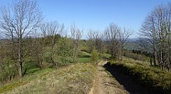 050_TZ60_P1100781_cr