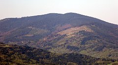 057_TZ60_P1100788_cr