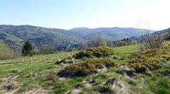 066_TZ60_P1100796_cr