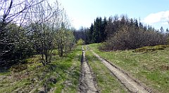 080_TZ60_P1100817_cr