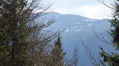 135_TZ60_P1100891_cr