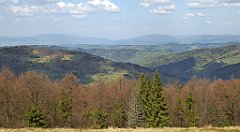 141_TZ60_P1100899_cr