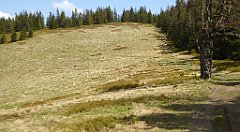 145_TZ60_P1100907_cr